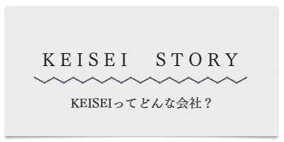 KEISEI STORY